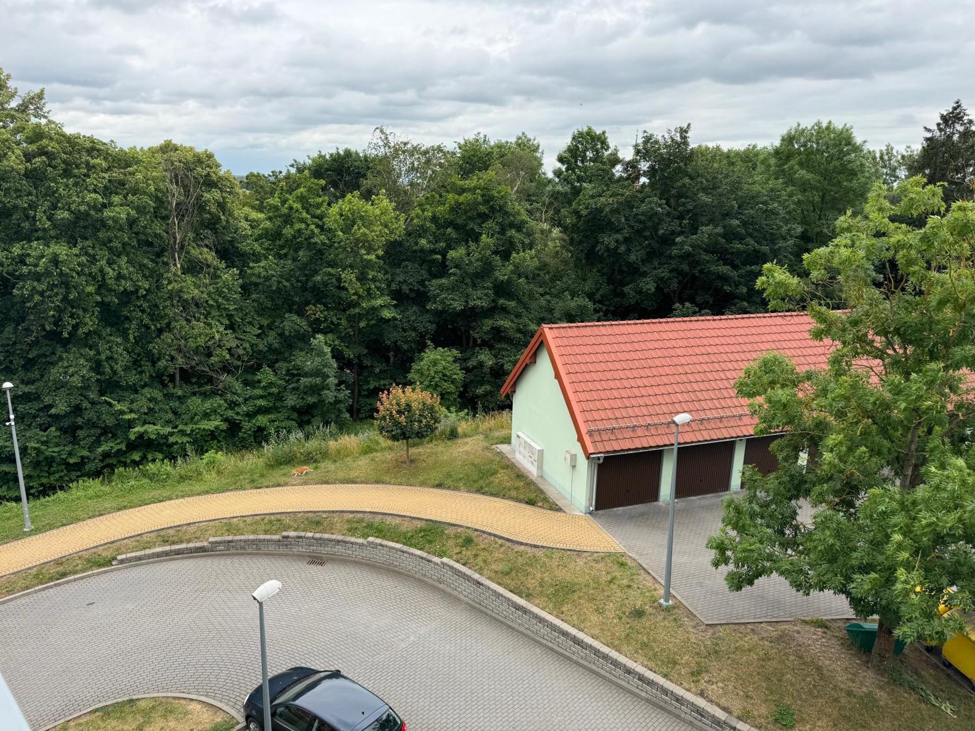 Bozki Apartament Ketrzyn Kętrzyn Exterior foto